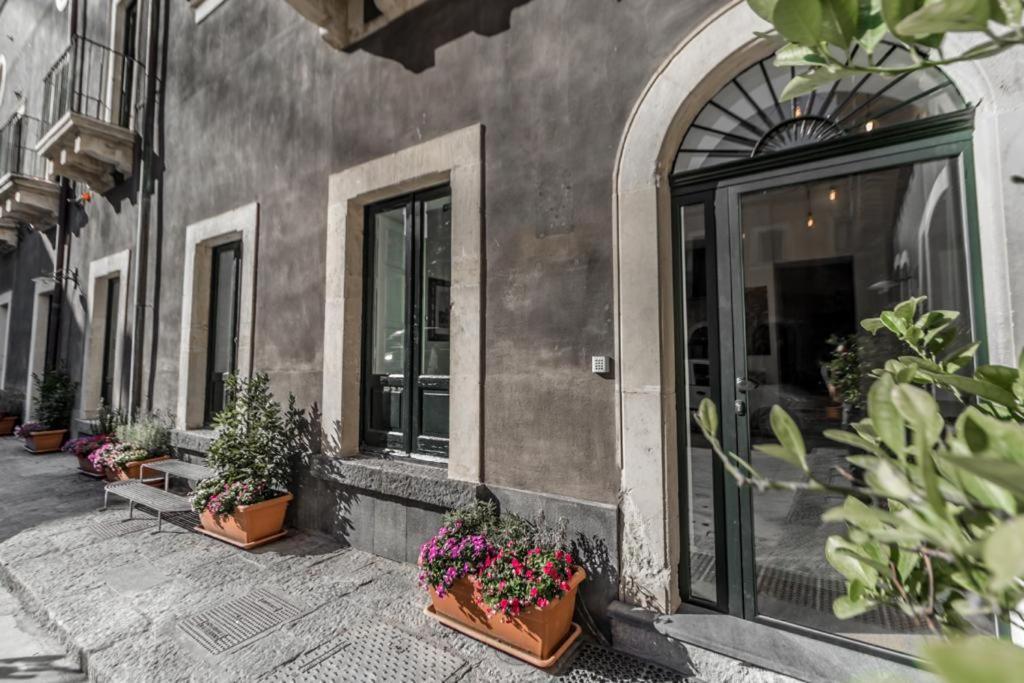 Guest house Nerello And *
