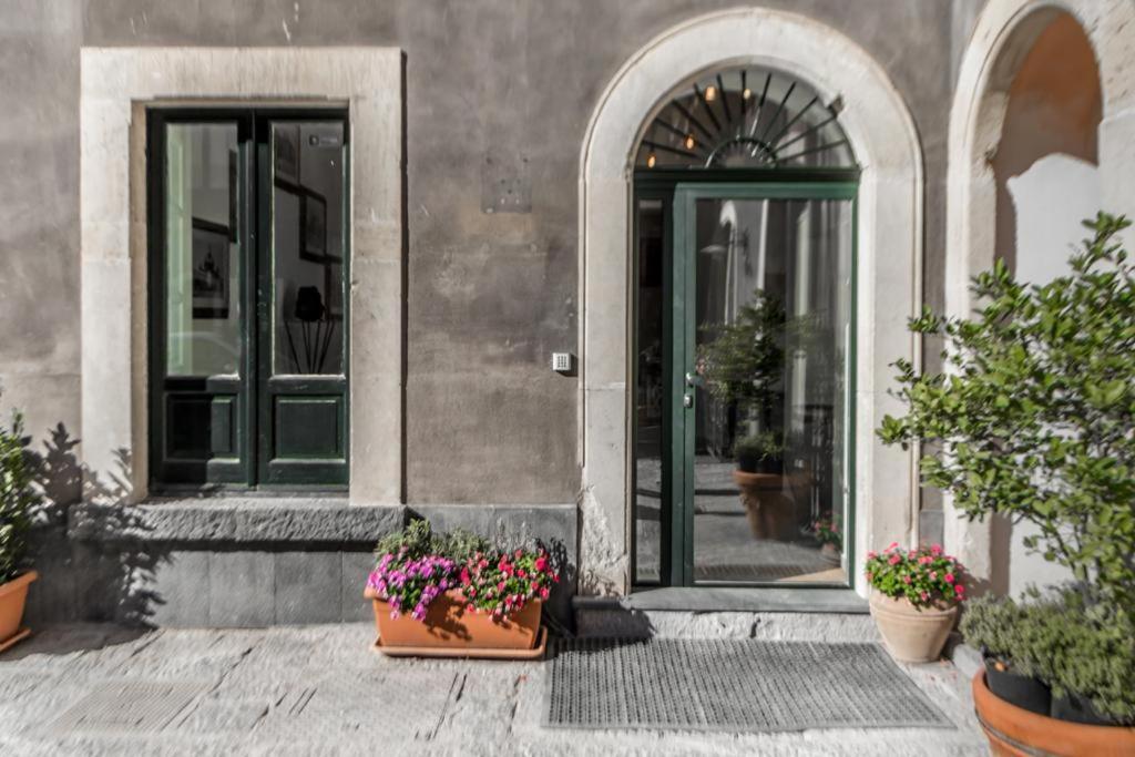 Guest house Nerello And *